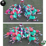 Ebbw Vale RFC using Vantage Point Products' sports video mast to film above a scrum