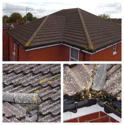10m 35ft Reach 4 x Optical Zoom Rugged HD Camera Pole RVI System for Roof Surveys, Solar and Asset Inspection
